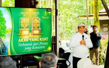 Ekosistem Mangrove Kaltim Jadi Sorotan, Kementerian Kehutanan Perkuat Konservasi Berbasis Blue Carbon