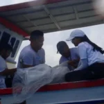 Pelepasliaran Hiu Jadi Tahap Akhir Konservasi, KKP Tekankan Pentingnya Rehabilitasi dan Pemulihan Ekosistem Laut