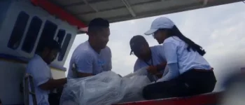 Pelepasliaran Hiu Jadi Tahap Akhir Konservasi, KKP Tekankan Pentingnya Rehabilitasi dan Pemulihan Ekosistem Laut
