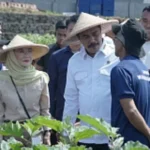 Tak Sekadar Tempat Pembinaan, Lapas dan Rutan Kini Bertransformasi Menjadi Pusat Produksi Pangan Produktif