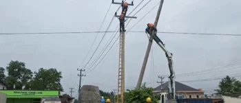 Cegah Risiko Bahaya di Jalan Raya, PLN Segera Ganti Tiang Listrik Retak yang Tertabrak Kendaraan di Penyengat Rendah