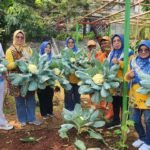 Kelurahan Cijantung Buktikan Lahan Sempit Bisa Hasilkan Puluhan Kilogram Sayuran