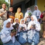 Bukan Hanya Panen Sayur, Urban Farming di Sekolah Dibidik Bentuk Karakter Siswa
