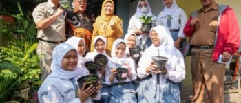 Bukan Hanya Panen Sayur, Urban Farming di Sekolah Dibidik Bentuk Karakter Siswa