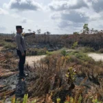Karhutla Ancam Permukiman dan Lahan Perkebunan di Kabupaten Fakfak, Polsek Bomberay Lakukan Pemadaman Sekaligus Tingkatkan Upaya Pencegahan