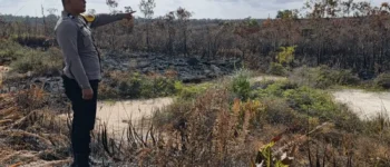 Karhutla Ancam Permukiman dan Lahan Perkebunan di Kabupaten Fakfak, Polsek Bomberay Lakukan Pemadaman Sekaligus Tingkatkan Upaya Pencegahan