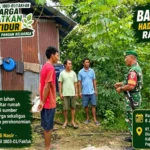 Bangun Kemandirian Pangan dari Pekarangan Rumah, Babinsa Fakfak Dorong Warga Kelola Lahan Kosong Menjadi Sumber Penghasilan