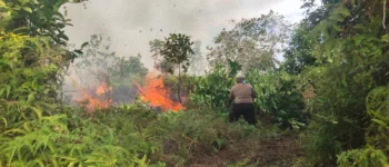 Karhutla Kembali Muncul di Bomberay, TNI-Polri Bersama BPBD dan Masyarakat Bergerak Cepat Cegah Api Meluas