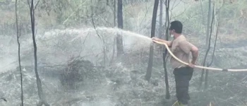 Karhutla Kembali Terjadi di Bomberay, Polsek Fakfak Bergerak Cepat Padamkan Api agar Tak Menjalar ke Permukiman Warga