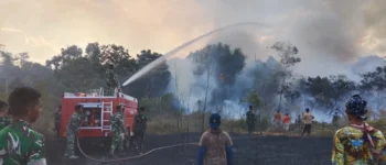 Karhutla Kembali Terjadi di Fakfak, Dandim 1803/Fakfak Ajak Seluruh Elemen Bersinergi Lindungi Lingkungan dan Keselamatan Warga