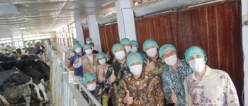 Teknologi Closed Barn Dinilai Jadi Kunci Tingkatkan Produksi Susu Nasional