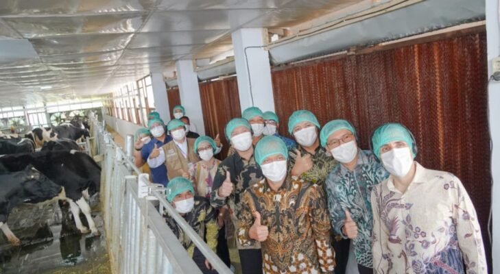 Teknologi Closed Barn Dinilai Jadi Kunci Tingkatkan Produksi Susu Nasional
