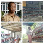 Kampung Tanama Kembangkan Budidaya Ayam Petelur Berbasis Masyarakat, Enam Kandang Mulai Memasuki Tahap Produksi