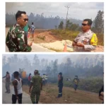 Letkol Inf. Wahlin Rahman Minta Penanganan Karhutla Diperkuat, Soroti Dampak Asap terhadap Keselamatan dan Kesehatan Masyarakat