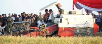 Target Produksi 5 Juta Ton Sumsel Diuji Ancaman El Nino, Berbagai Langkah Antisipasi Disiapkan untuk Jaga Ketahanan Pangan