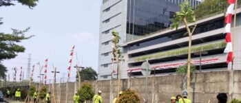 Bukan Sekadar Percantik Kota, 26 Pohon Tabebuya Ini Punya Manfaat Besar