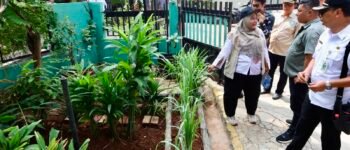 Satu Rumah Satu Pot Tanaman, Kebiasaan Sederhana Warga Petamburan Bikin Lingkungan Makin Asri