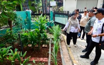 Satu Rumah Satu Pot Tanaman, Kebiasaan Sederhana Warga Petamburan Bikin Lingkungan Makin Asri