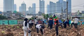 Puluhan Pohon Produktif Ditanam di Bantaran Ciliwung