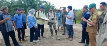 Verifikasi Lahan Usaha 2 Air Balui Diperkuat Analisis Spasial, Pemkab Muba Utamakan Data Lapangan