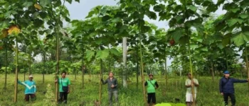 Tak Lagi Sekadar Tanam Pohon, Rehabilitasi Lahan Kini Menggunakan AI dan Drone untuk Percepat Pemulihan Ekosistem
