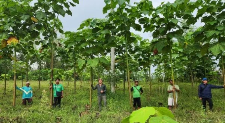 Tak Lagi Sekadar Tanam Pohon, Rehabilitasi Lahan Kini Menggunakan AI dan Drone untuk Percepat Pemulihan Ekosistem