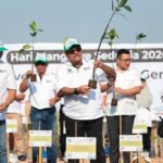 Jakarta Tanam 24.310 Mangrove Sekaligus, Ini Dampaknya bagi Pesisir Ibu Kota
