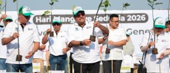 Jakarta Tanam 24.310 Mangrove Sekaligus, Ini Dampaknya bagi Pesisir Ibu Kota