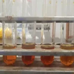 Minyak Jelantah Jadi Biodiesel? BRIN Uji Teknologi Sinar Gamma