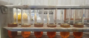 Minyak Jelantah Jadi Biodiesel? BRIN Uji Teknologi Sinar Gamma