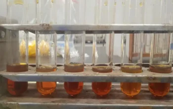 Minyak Jelantah Jadi Biodiesel? BRIN Uji Teknologi Sinar Gamma