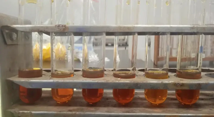 Minyak Jelantah Jadi Biodiesel? BRIN Uji Teknologi Sinar Gamma
