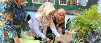 Daun Kering Jadi Pupuk, Pinang Ranti Sulap Limbah Jadi Pendukung Urban Farming