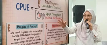 Kuda Laut Jadi “Komoditas Emas”, BRIN Dorong Penguatan Data Perikanan