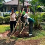 Jaksel Mulai “Percantik” Kebayoran Lama dengan Tabebuya Pink, Ini Alasannya