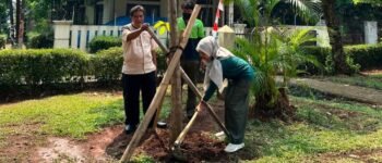 Jaksel Mulai “Percantik” Kebayoran Lama dengan Tabebuya Pink, Ini Alasannya