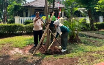 Jaksel Mulai “Percantik” Kebayoran Lama dengan Tabebuya Pink, Ini Alasannya