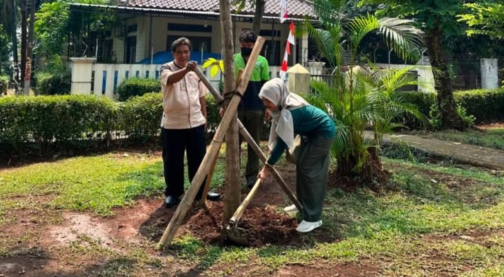 Jaksel Mulai “Percantik” Kebayoran Lama dengan Tabebuya Pink, Ini Alasannya