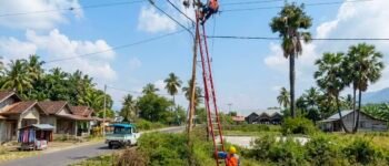 Gempa Flores, PLN Gerak Cepat Pulihkan Listrik 11 Gardu Induk