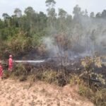 17 Kali Padamkan Karhutla, Tim Pertamina EP Ramba Field Bantu Warga Cegah Api Meluas
