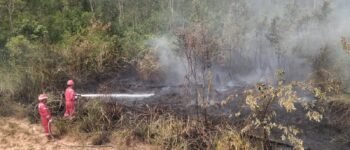 17 Kali Padamkan Karhutla, Tim Pertamina EP Ramba Field Bantu Warga Cegah Api Meluas