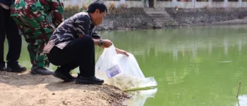 1.000 Benih Ikan Ditebar, Ternyata Ini Target Besar Pemkot Cirebon