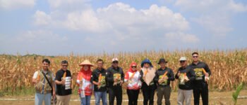 Gen Z Tanjungpinang Mulai Garap Lahan dan Panen Jagung