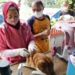 3.127 Hewan Sudah Divaksin Rabies di Jakarta Pusat, Target 6.000 Ekor Tahun Ini