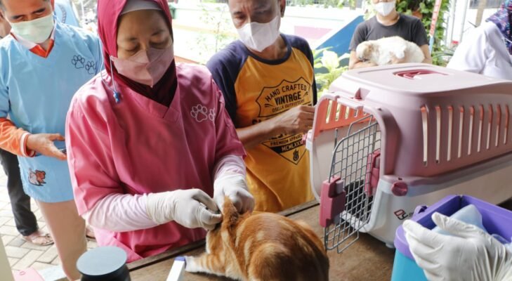 3.127 Hewan Sudah Divaksin Rabies di Jakarta Pusat, Target 6.000 Ekor Tahun Ini